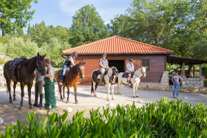 Dubrovnik Top Transfers