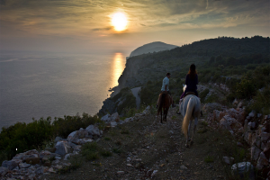 Dubrovnik Top Transfers