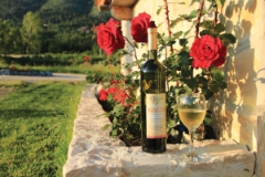 Dubrovnik Top Transfers